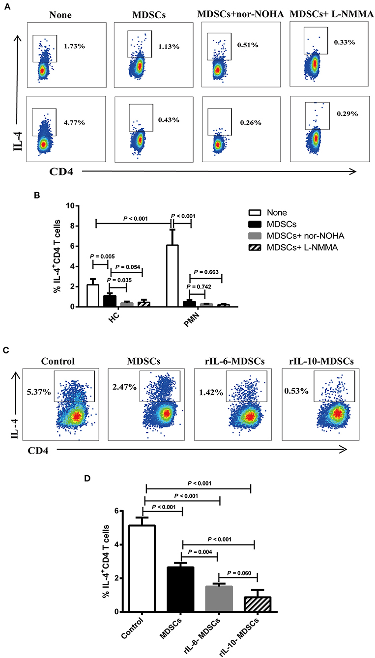 Polyamines from myeloid-derived suppressor cells promote Th17 polarization and disease progression: Molecular Therapy