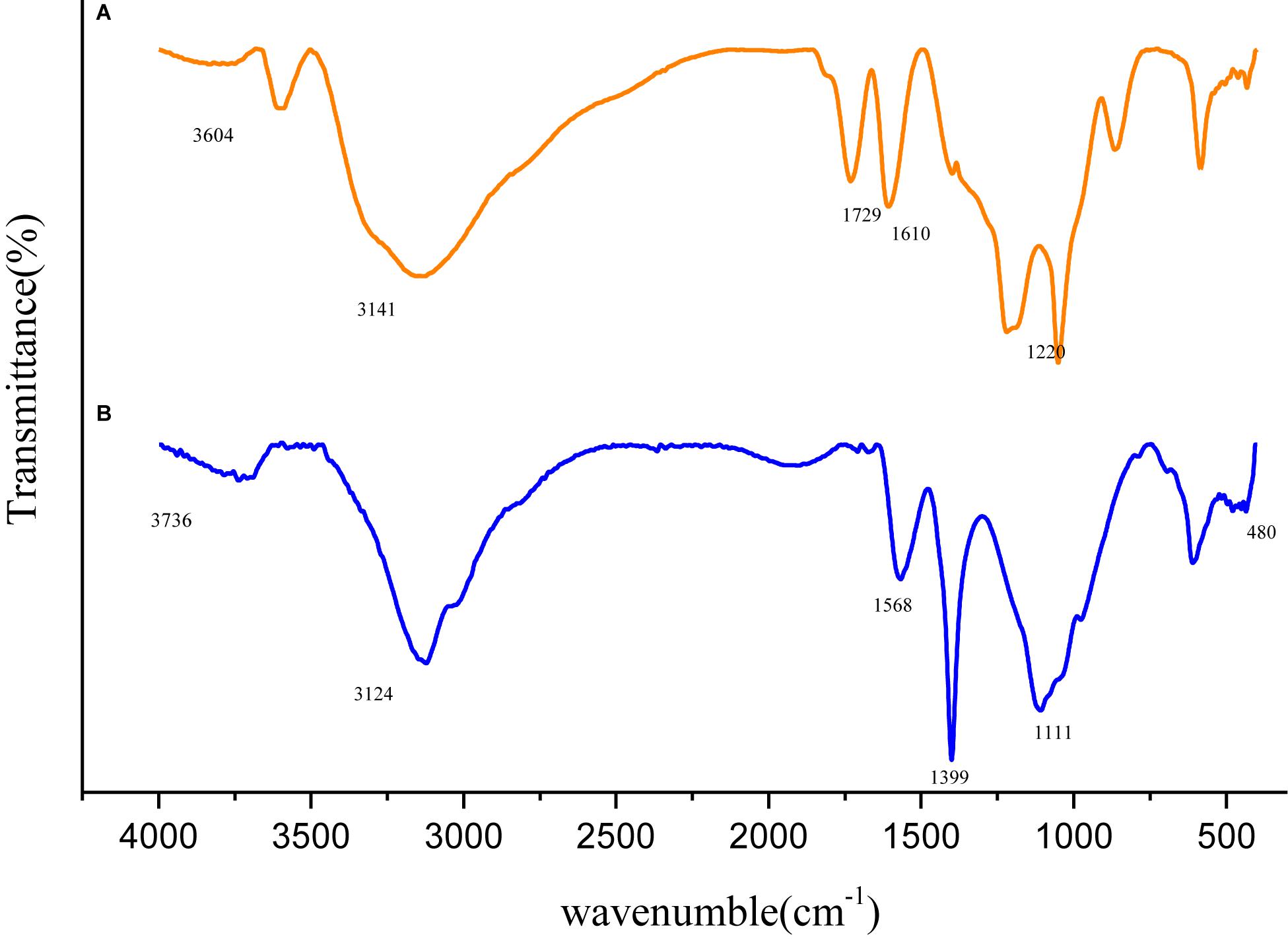 Frontiers | A Novel and High-Effective Biosynthesis Pathway of ...