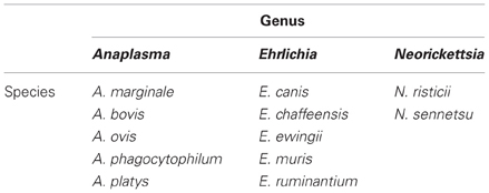 Frontiers | Anaplasma widespread multi-host pathogen with highly strategies