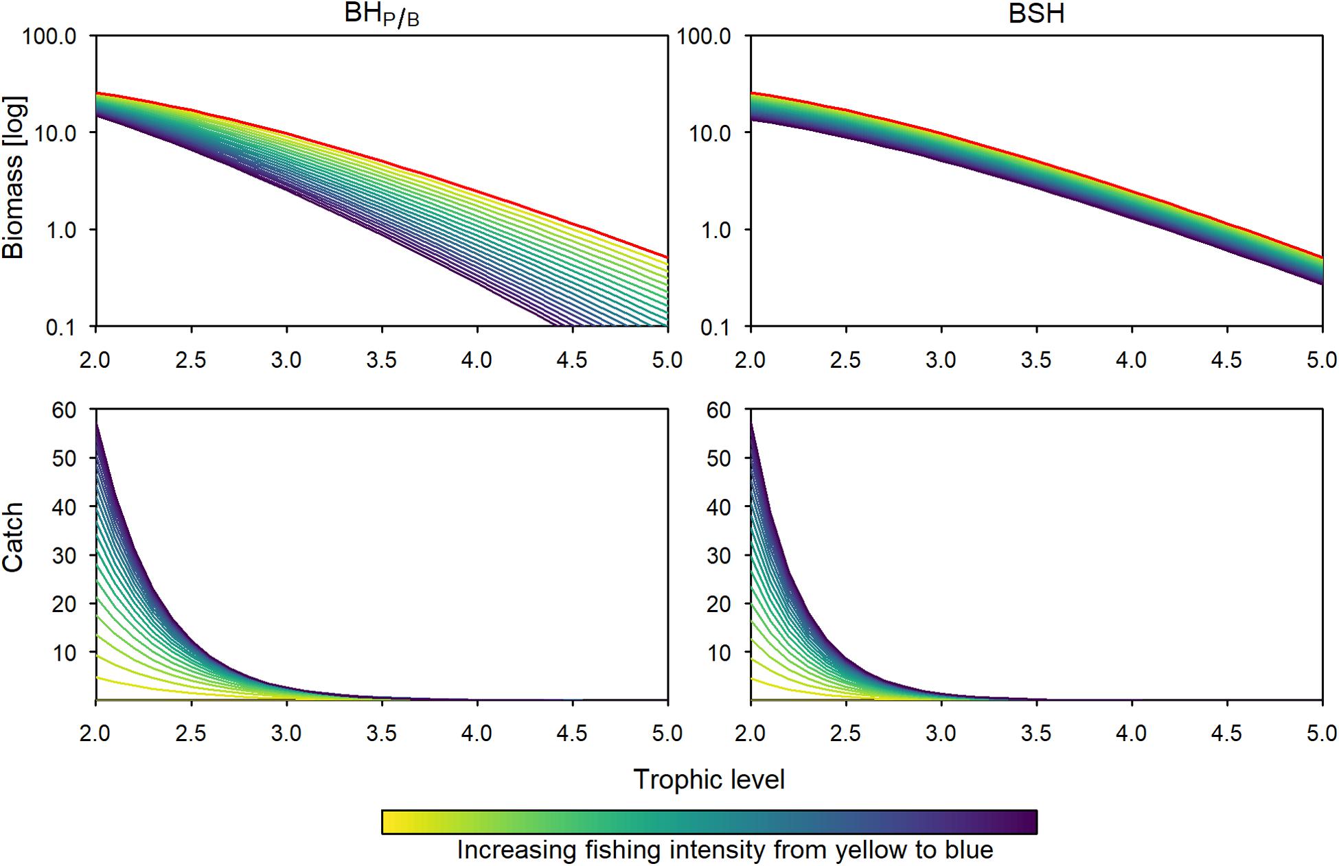 How should fishing mortality be distributed under balanced harvesting? -  ScienceDirect