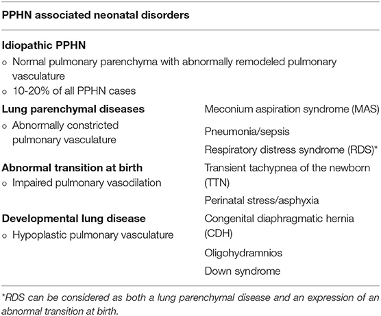 Severe persistent pulmonary hypertension in a neonate with