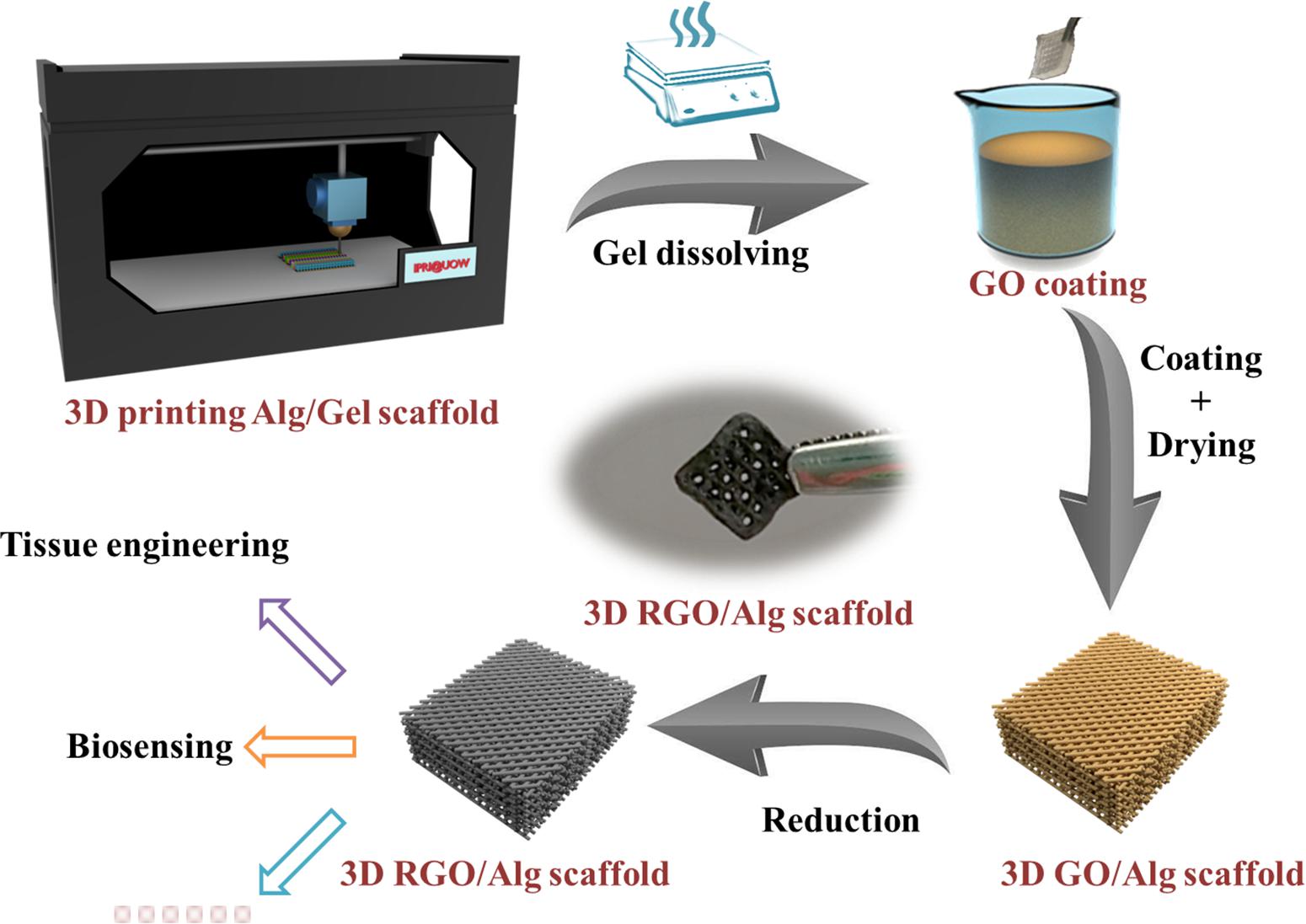 Alginate 3D-Gel - /en