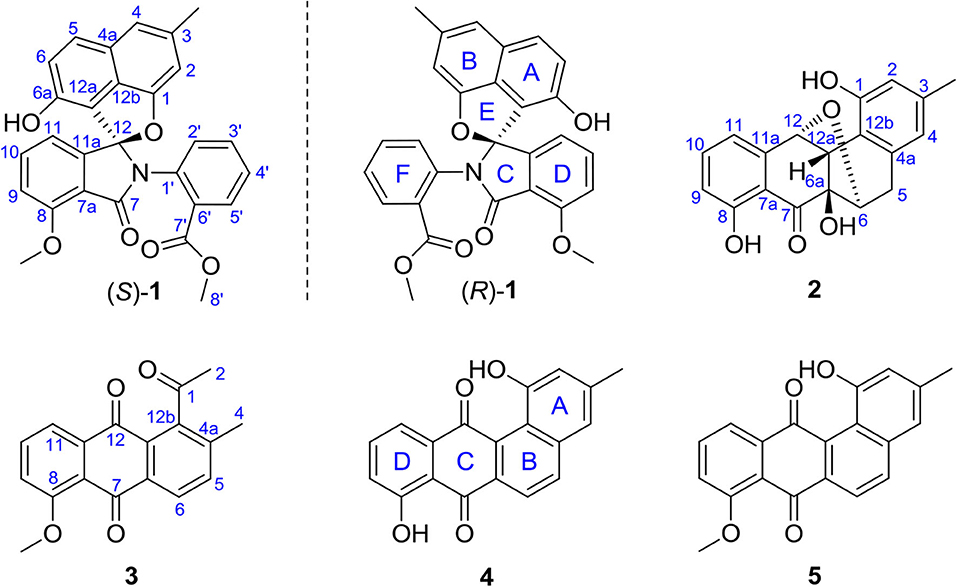 Frontiers | Antibacterial and Cytotoxic Bridged and Ring Frontiers | Antibacterial and Cytotoxic Bridged and Ring