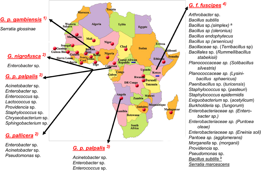www.frontiersin.org