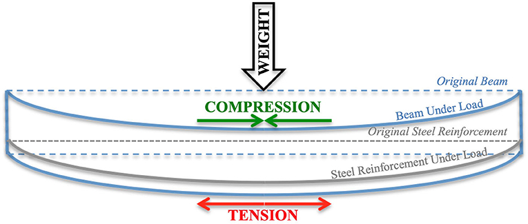 Figure 3 - Weight produces both compression and tension in reinforced concrete beams.
