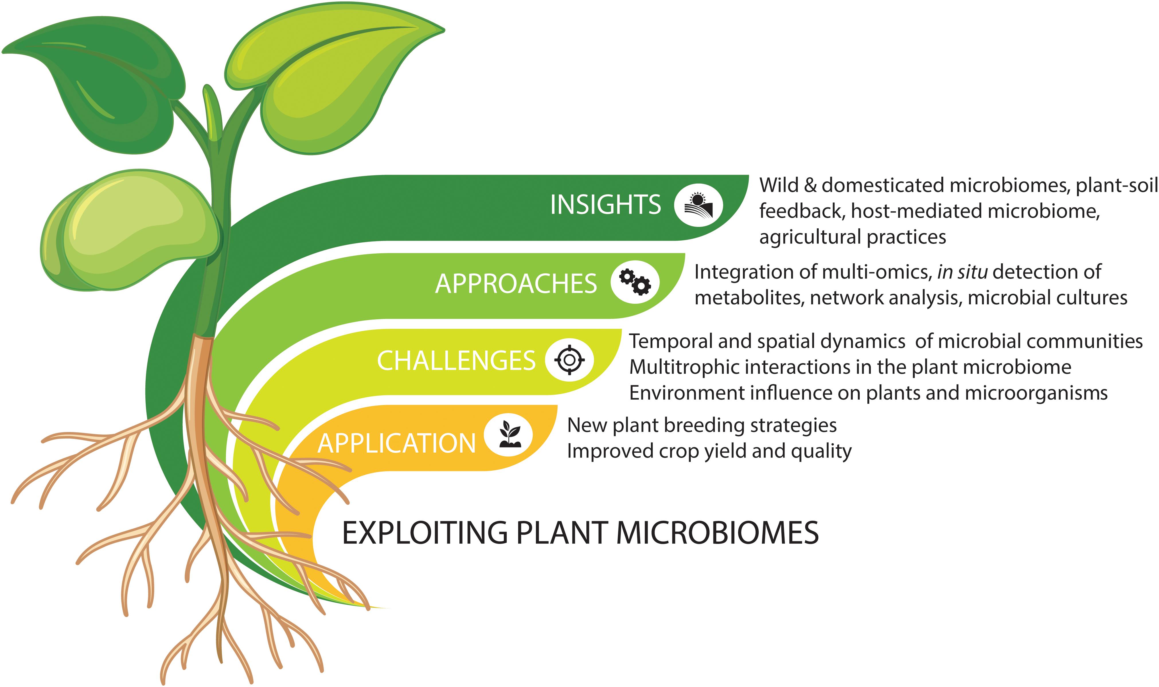Frontiers Beyond Plant Microbiome Composition Exploiting Microbial