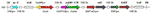 www.frontiersin.org