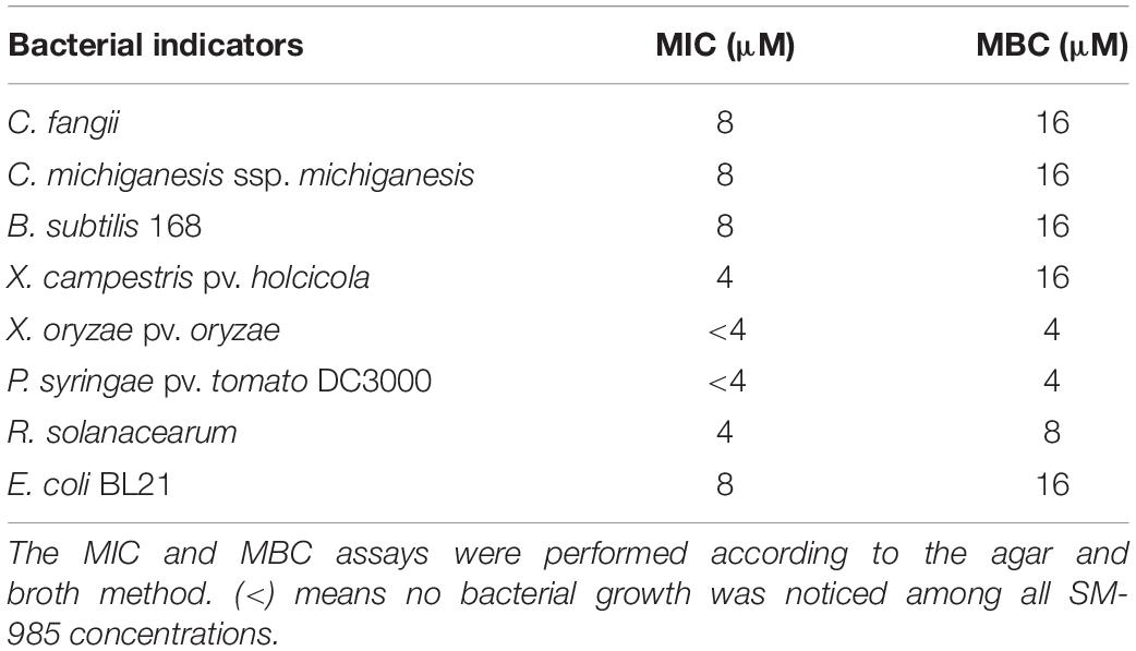 Frontiers Prediction And Characterization Of Cationic Arginine Rich Plant Antimicrobial Peptide Sm 985 From Teosinte Zea Mays Ssp Mexicana Microbiology