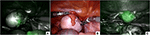 www.frontiersin.org