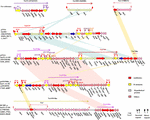 Frontiers | Characterization of pTS14, an IncF2:A1:B1 Plasmid Carrying ...