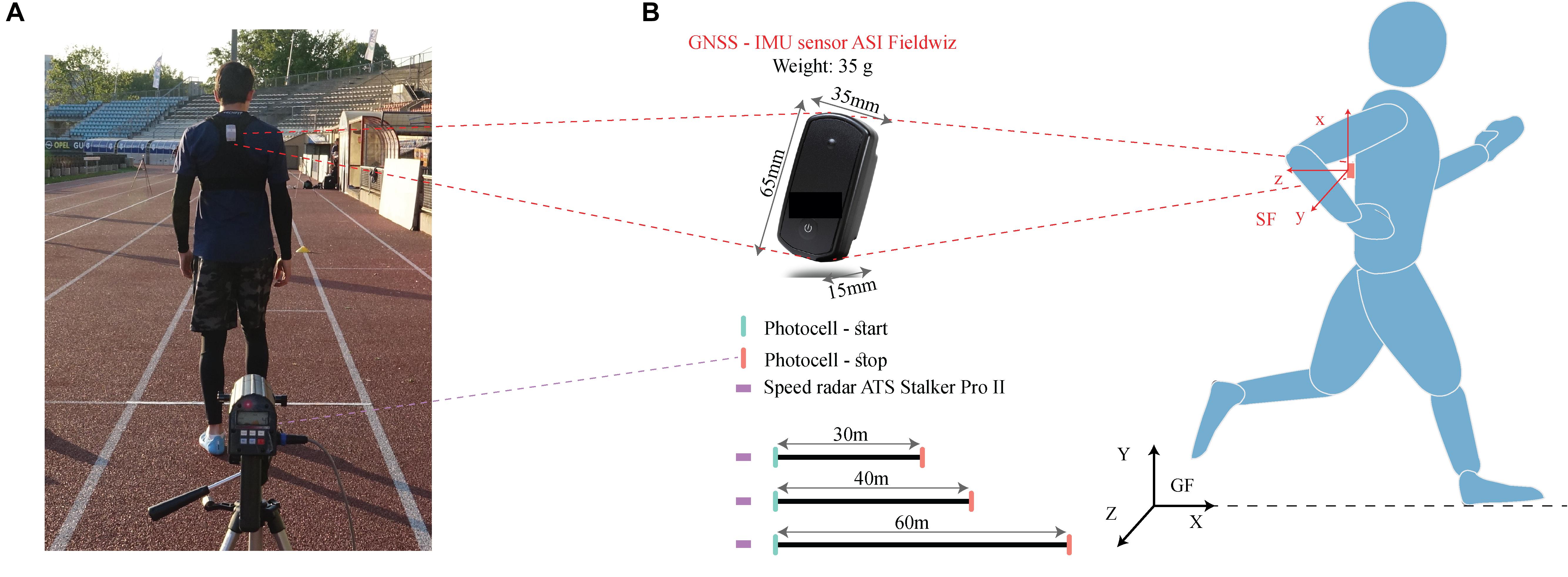 Frontiers  A Sensor Fusion Approach to the Estimation of Instantaneous  Velocity Using Single Wearable Sensor During Sprint