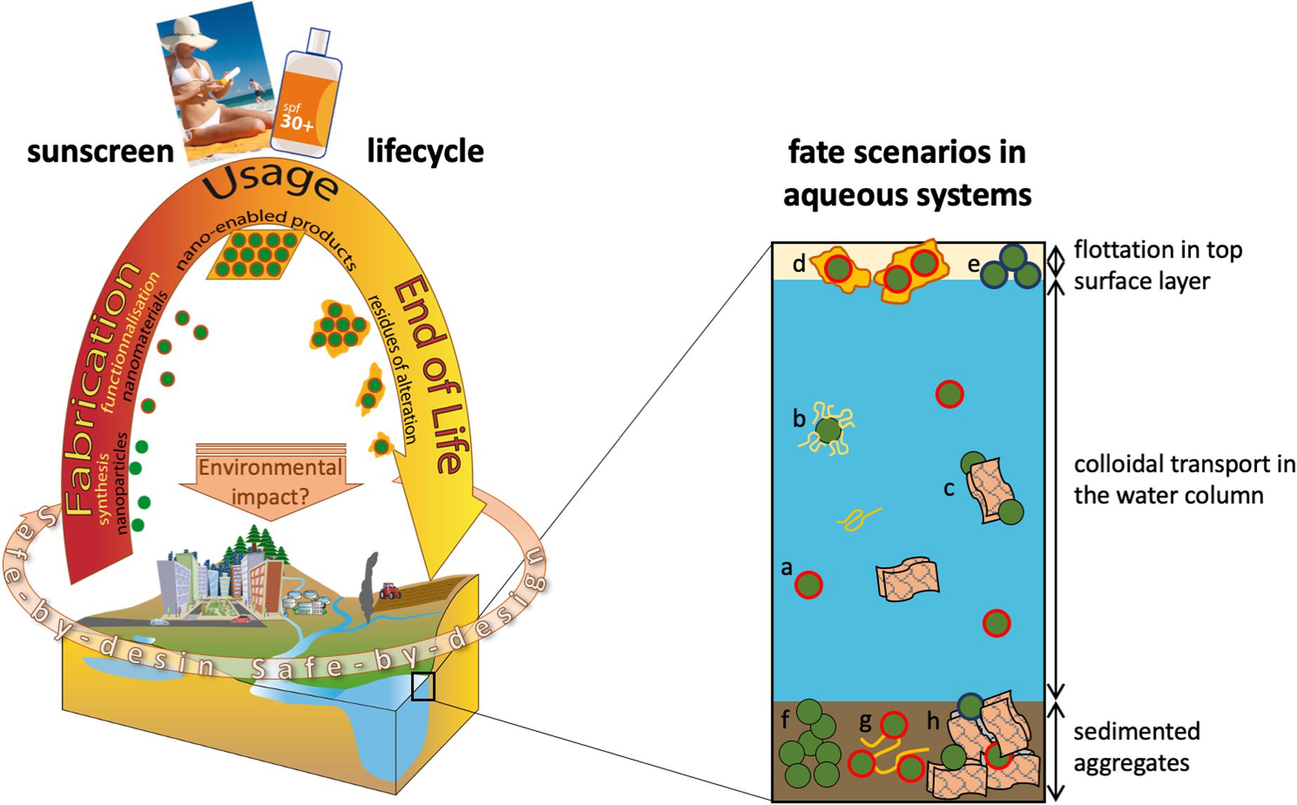 Frontiers Assessing Sunscreen Lifecycle to Minimize Environmental