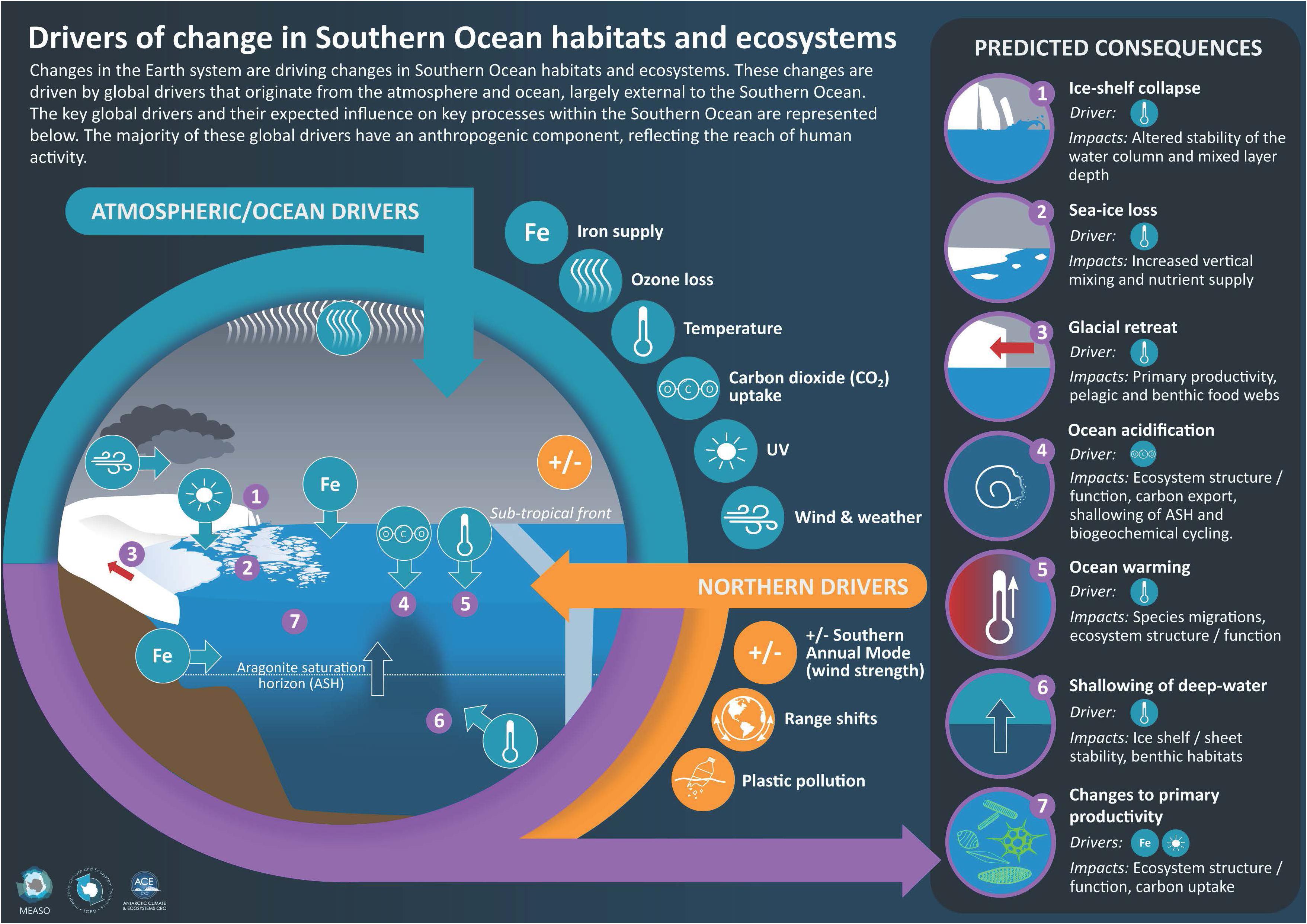 Frontiers | Global Drivers on Southern Ocean Ecosystems: Changing Physical  Environments and Anthropogenic Pressures in an Earth System