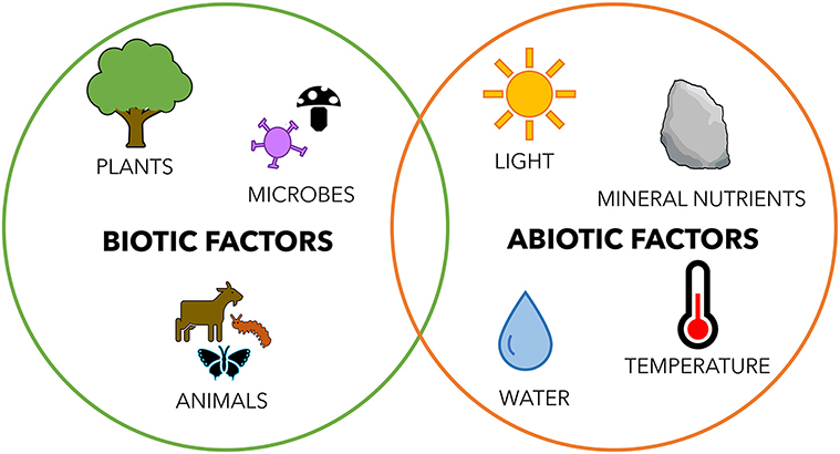 图3 -重要的生物因素和非生物因素相互作用的环境。