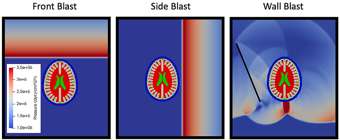 www.frontiersin.org