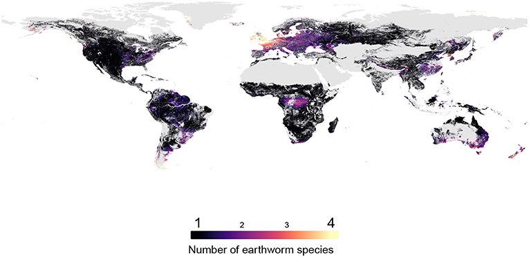 Figure 2 - The number of earthworm species across the world, created using our model.