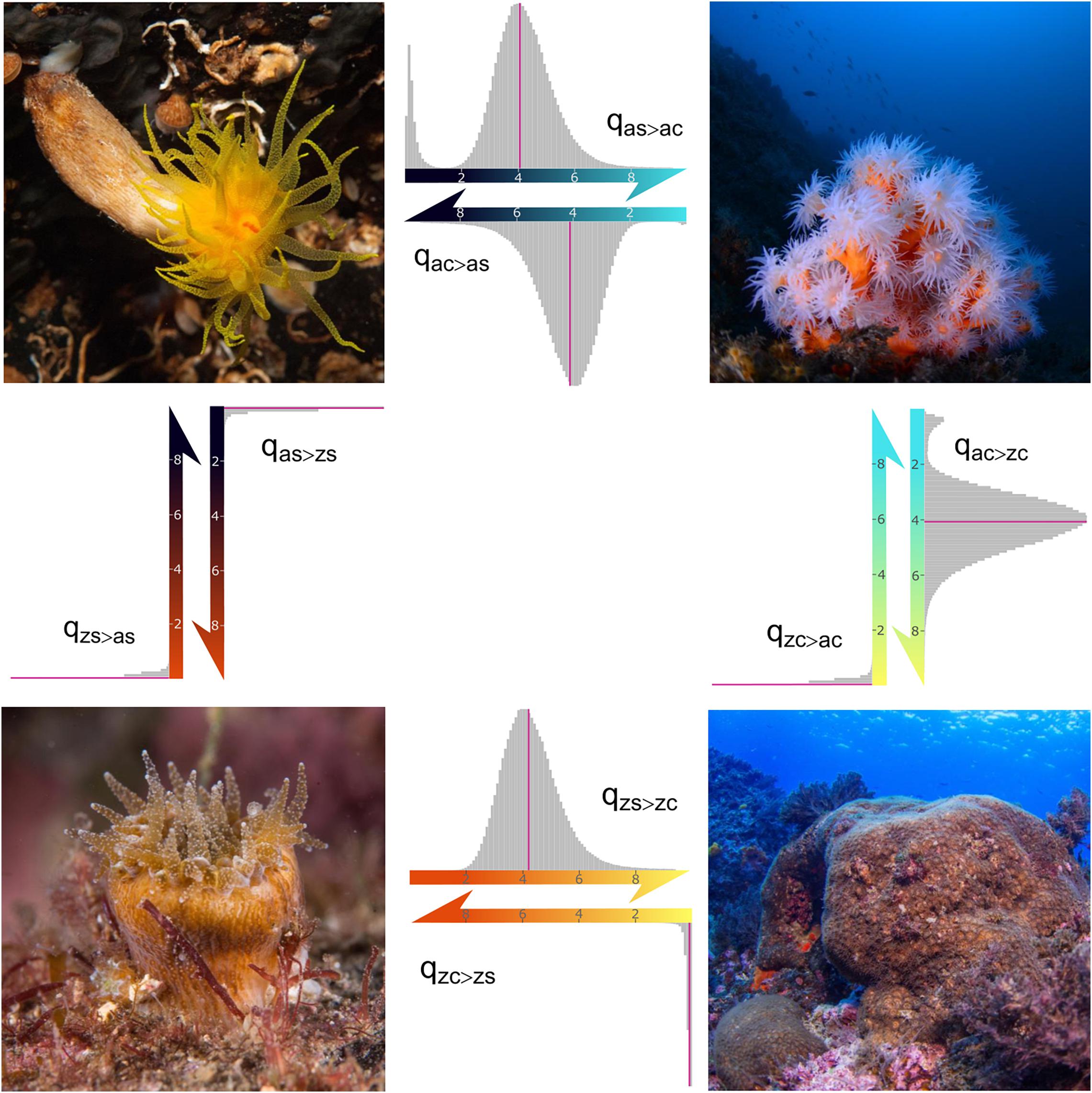 Origin Of Species Ch 18 Frontiers | The Origin and Correlated Evolution of Symbiosis and  Coloniality in Scleractinian Corals