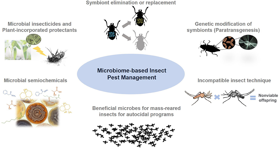 research on biological control of pest