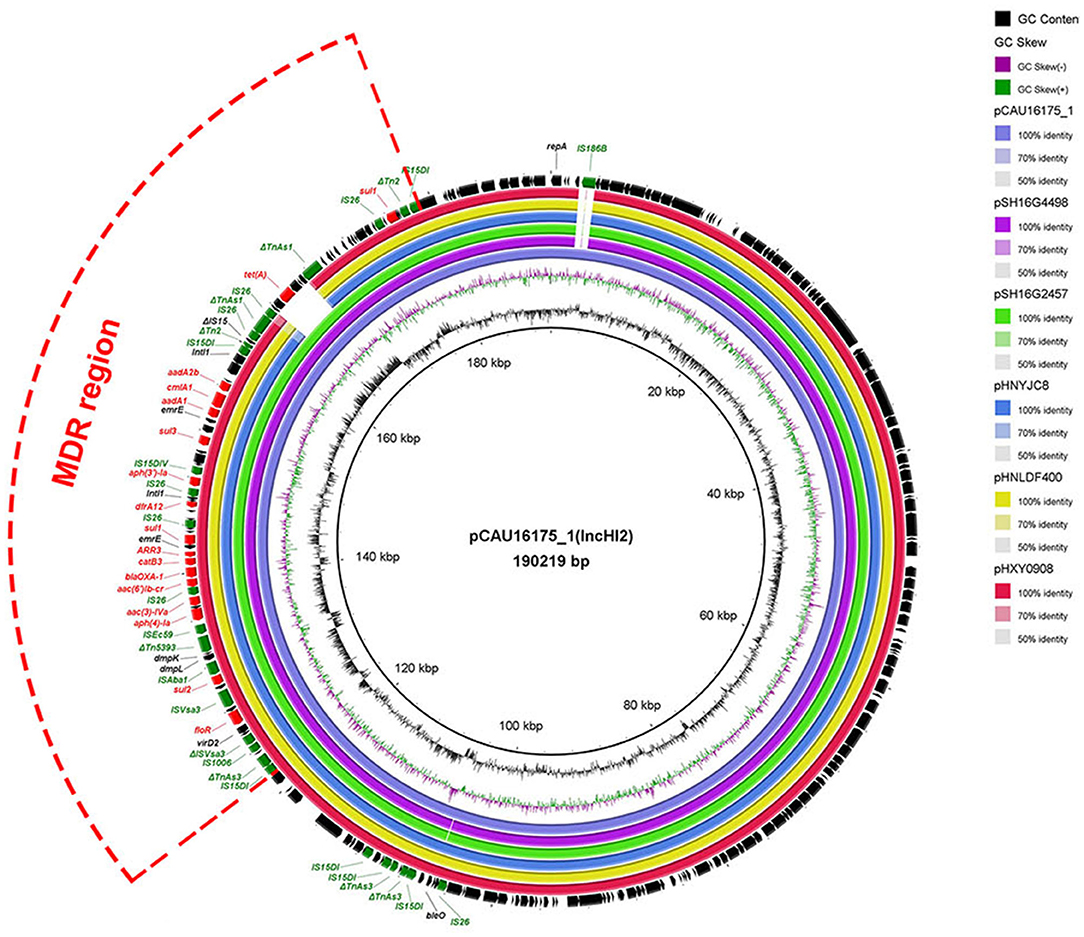 Frontiers  Genomic Characterization of mcr-1.1-Producing Escherichia coli  Recovered From Human Infections in São Paulo, Brazil