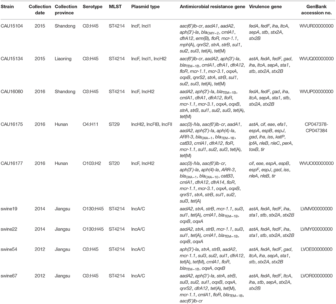 Frontiers  Genomic Characterization of mcr-1.1-Producing Escherichia coli  Recovered From Human Infections in São Paulo, Brazil