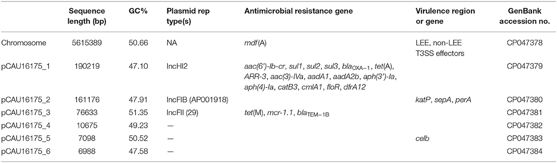 Frontiers  Genomic Characterization of mcr-1.1-Producing Escherichia coli  Recovered From Human Infections in São Paulo, Brazil