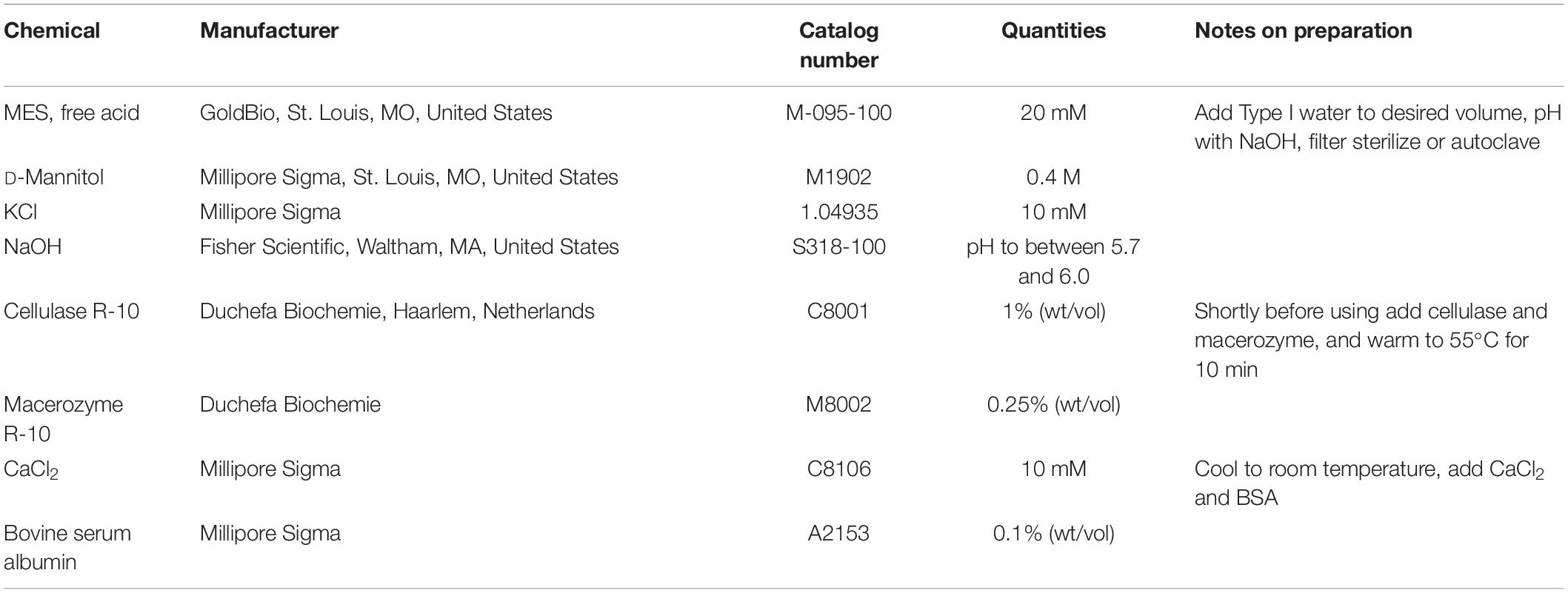 Frontiers - A Streamlined Protocol for Wheat (Triticum aestivum) Protoplast Isolation and ...