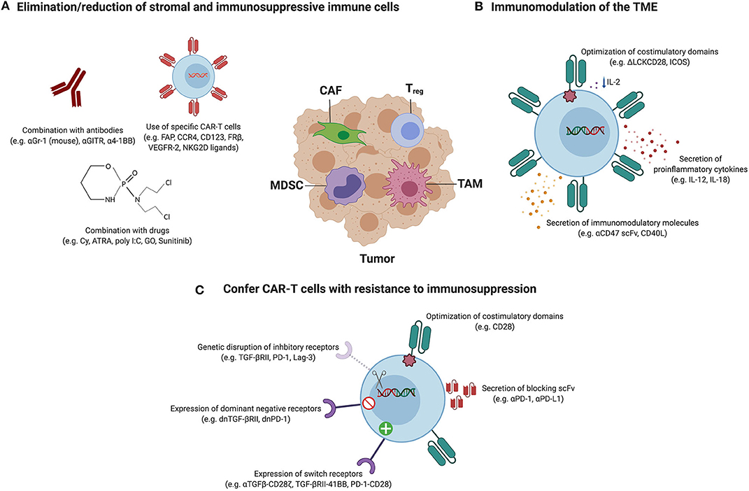 mesothelioma immunohistochemistry pathology outlines