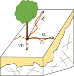 www.frontiersin.org