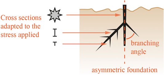 www.frontiersin.org