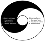 www.frontiersin.org