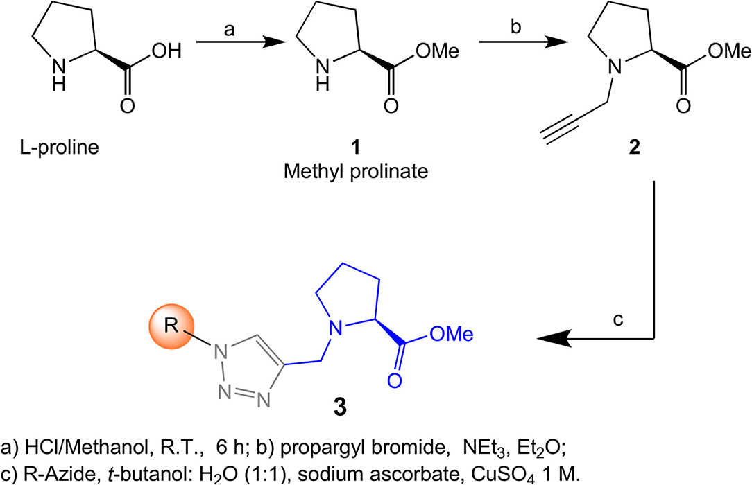 Frontiers Targeting L Proline Uptake As New Strategy For Anti Chagas Drug Development Chemistry
