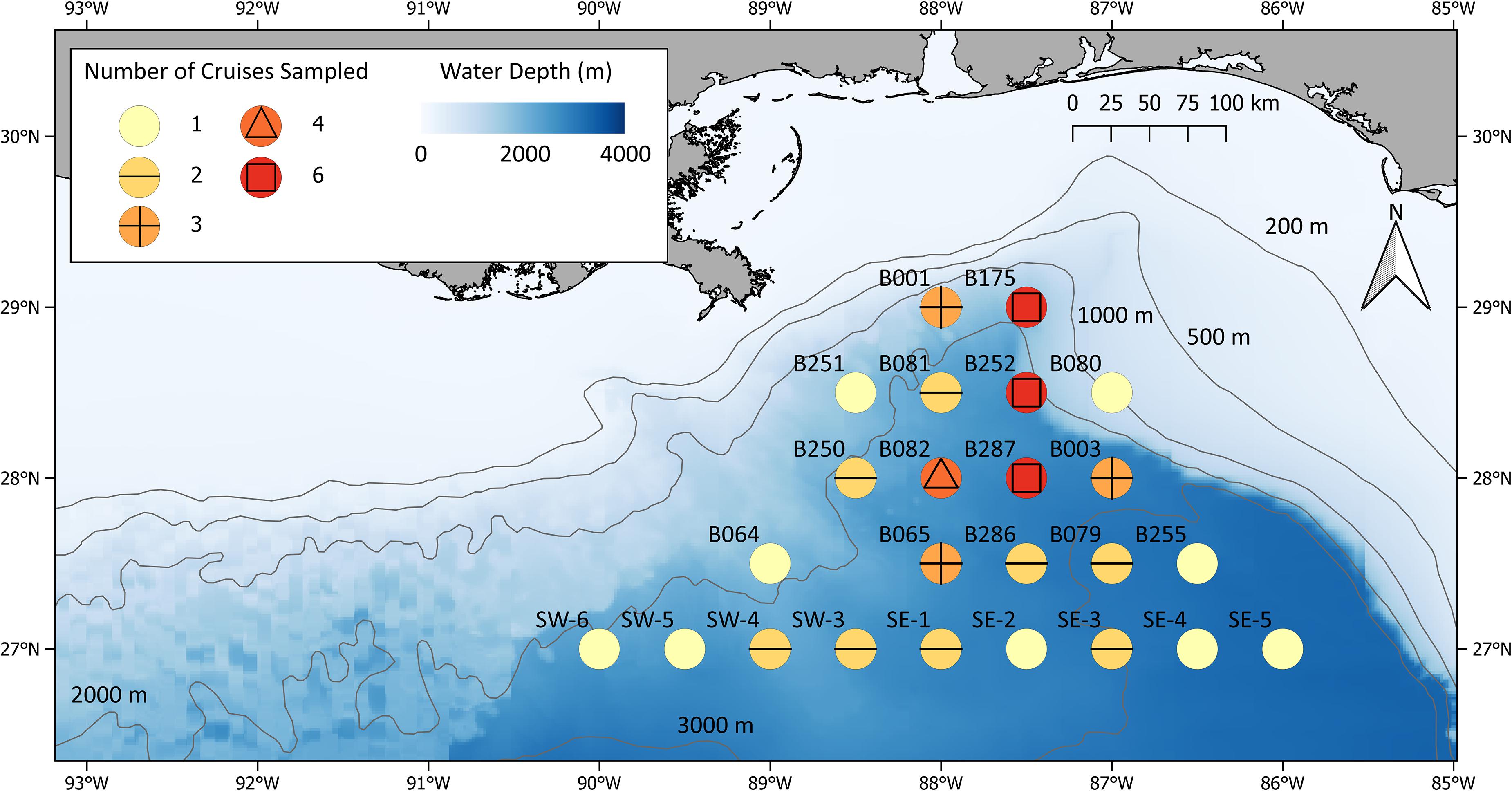 Frontiers  A Multidisciplinary Approach to Investigate Deep-Pelagic  Ecosystem Dynamics in the Gulf of Mexico Following Deepwater Horizon