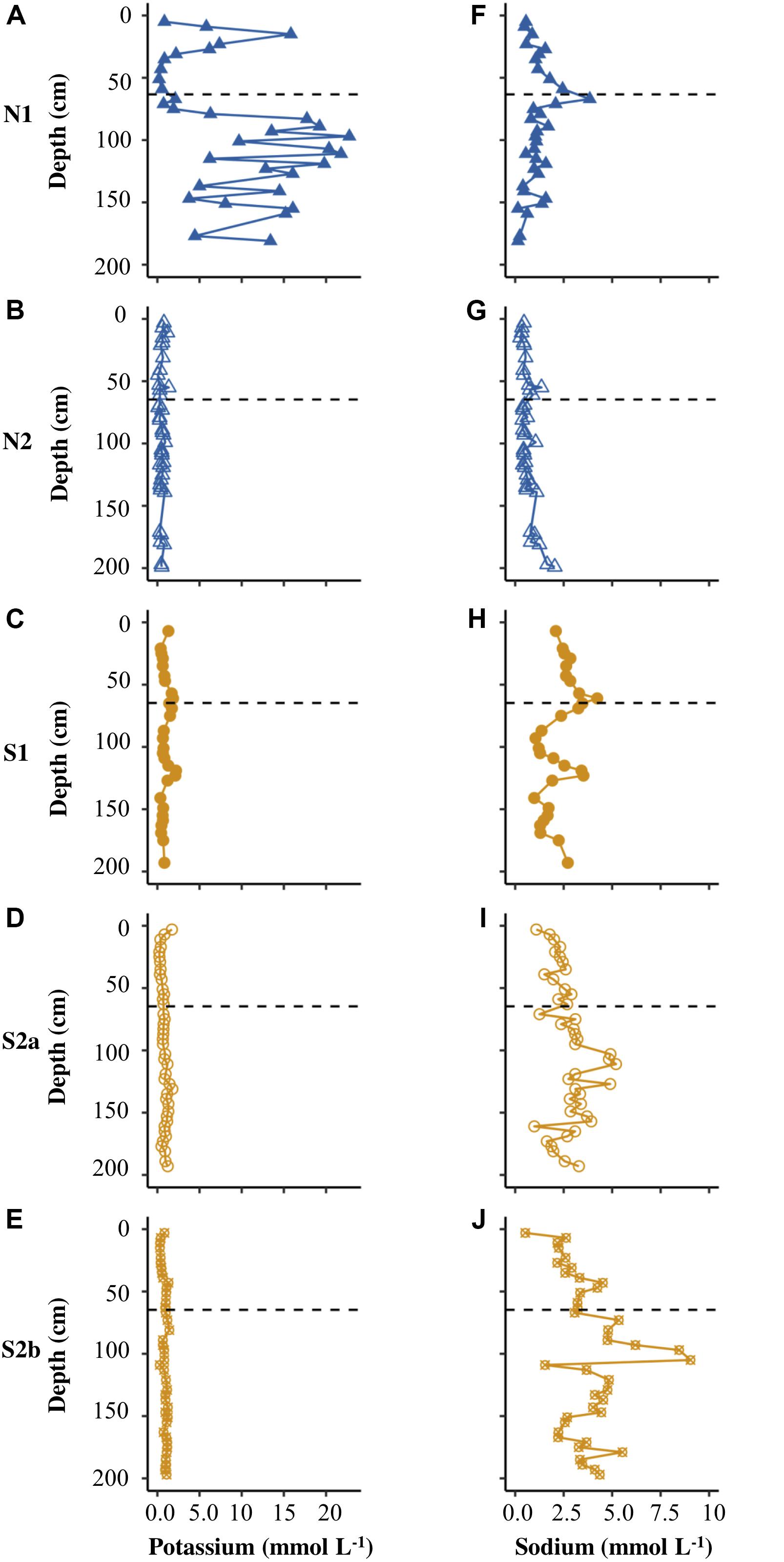 Frontiers Biogeochemical Processes In The Active Layer And Permafrost Of A High Arctic Fjord Valley Earth Science