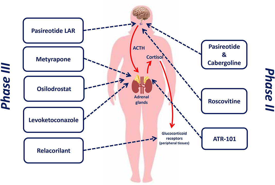 Pourquoi tout ce que vous savez sur injection steroide cheloide est un mensonge