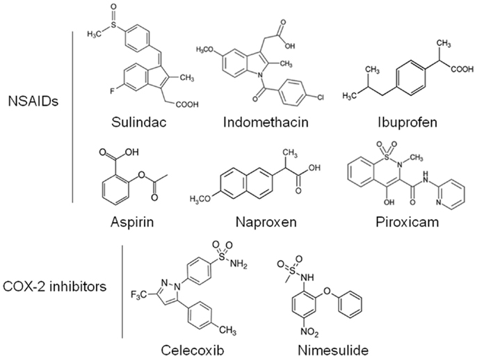 Frontiers Cox Independent Mechanisms Of Cancer Chemoprevention