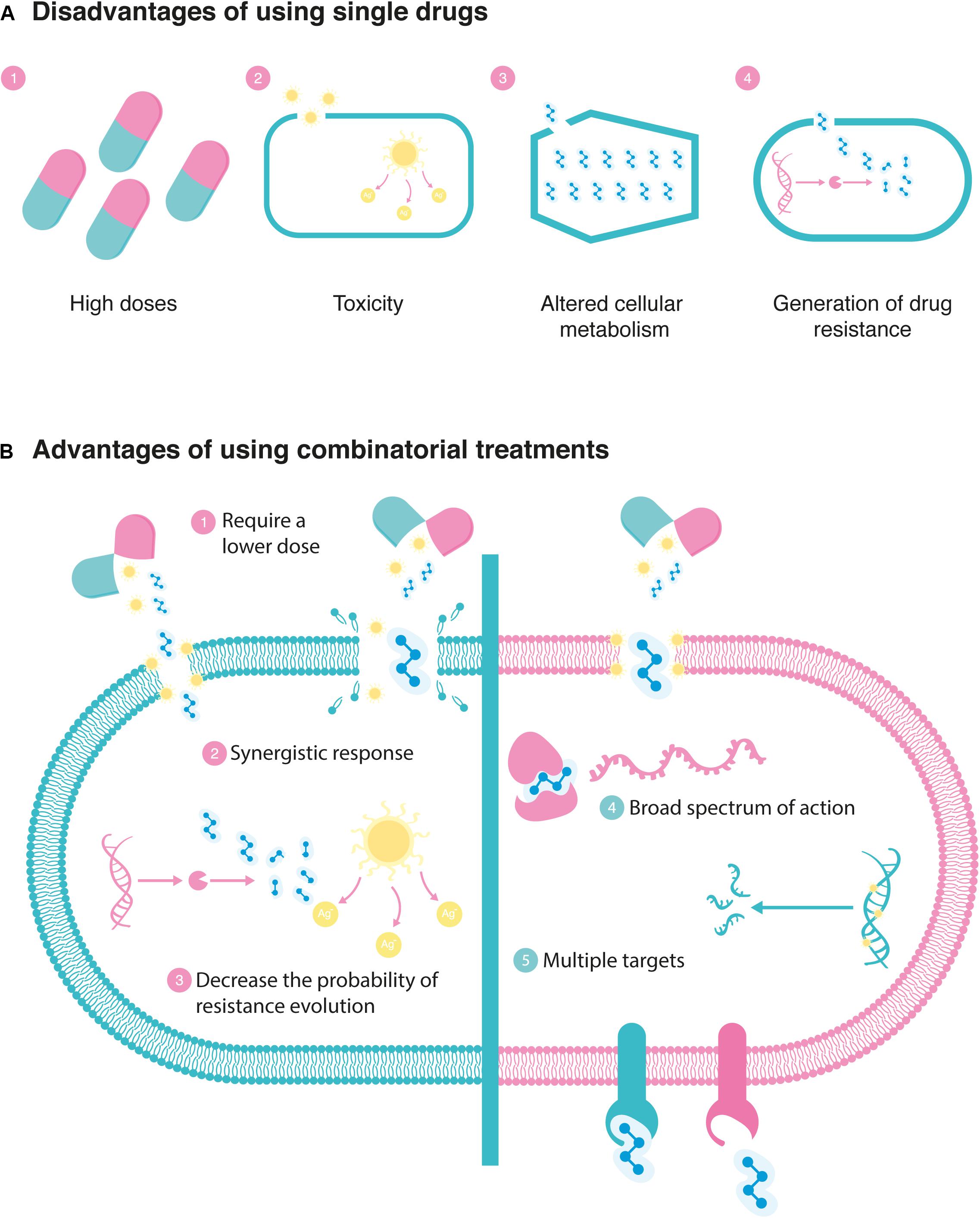 Frontiers The Demand for New Antibiotics Antimicrobial Peptides