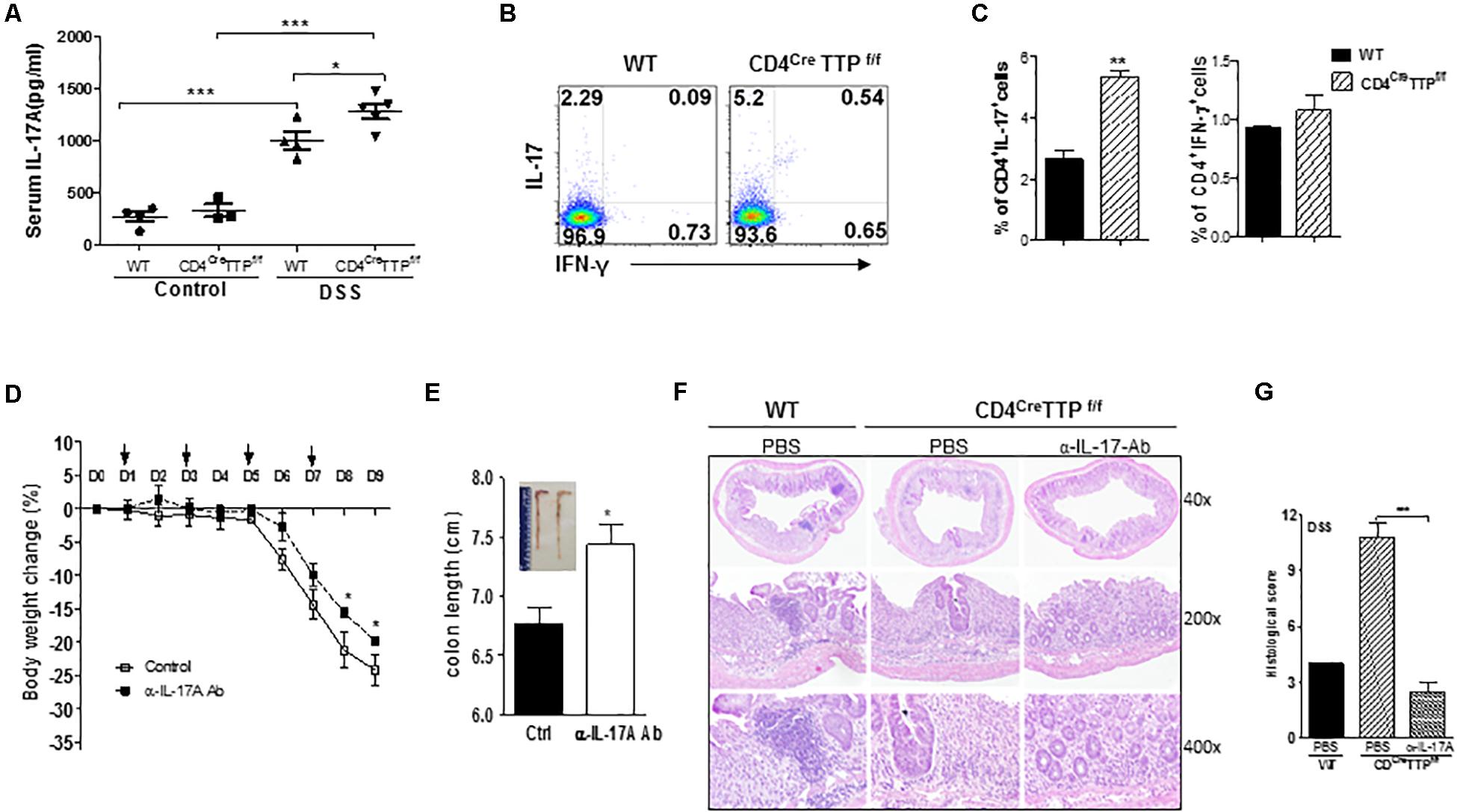 Immunization of Mice with a Live Transconjugant Shigella Hybrid Strain  Induced Th1 and Th17 Cell‐Mediated Immune Responses and Confirmed Passive  Protection Against Heterologous Shigellae - Nag - 2016 - Scandinavian  Journal of