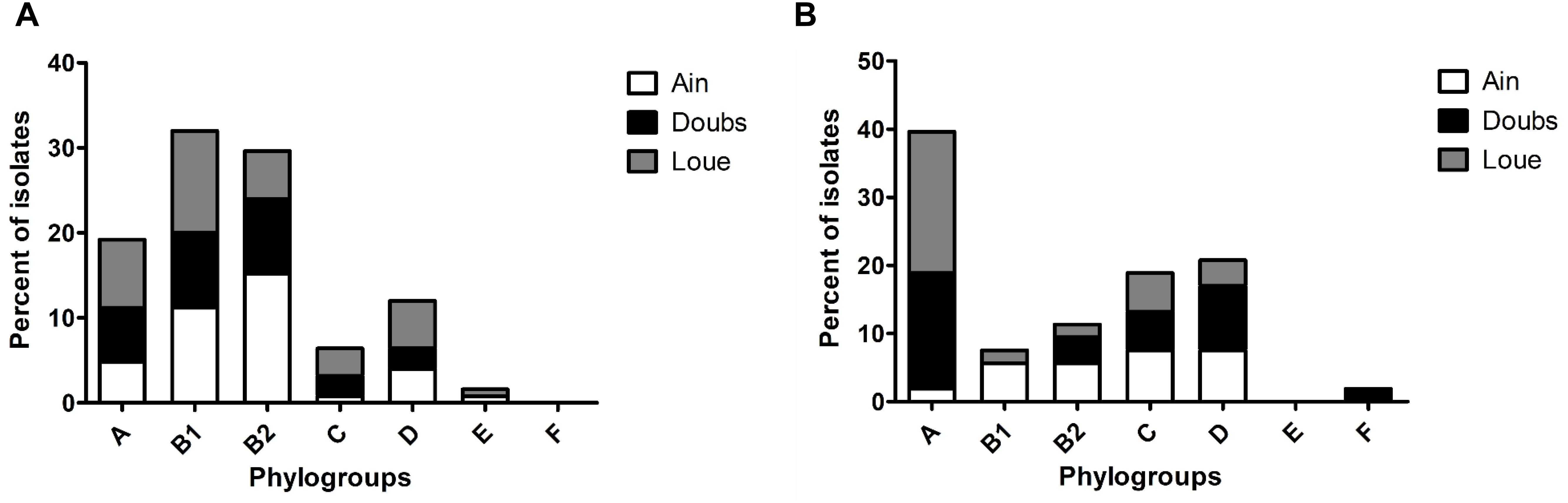 Frontiers High Prevalence Of Human Associated Escherichia Coli In Wetlands Located In Eastern France Microbiology