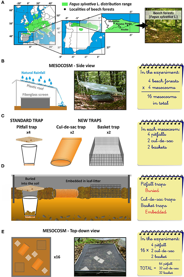 Figure 2 - Our experimental setup.