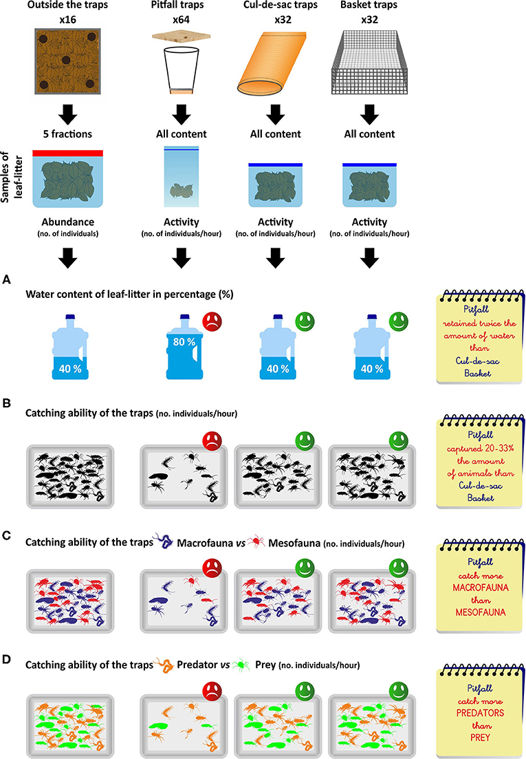 Figure 3 - What type of trap best measures the activity of leaf-litter fauna?