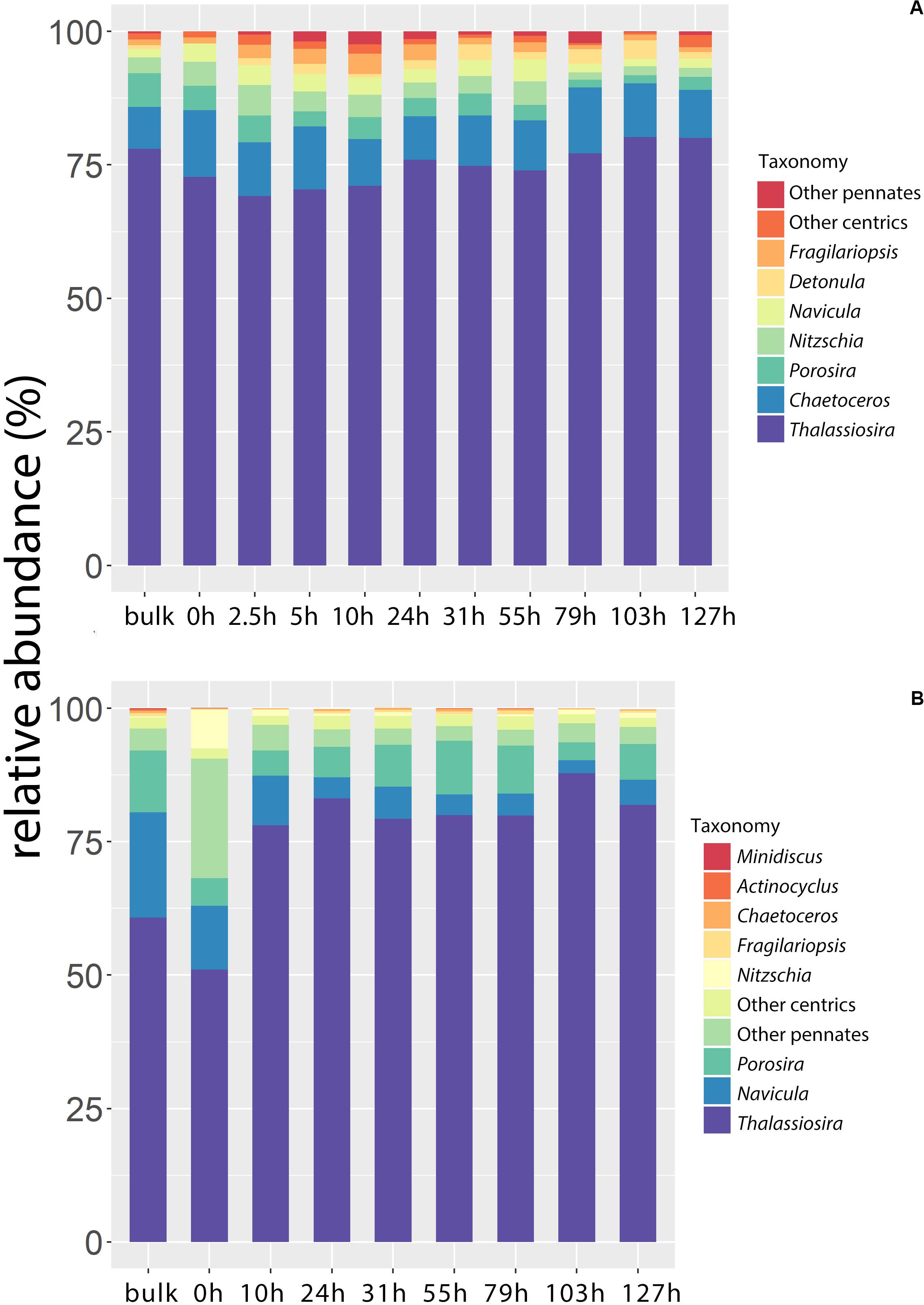 Frontiers Response To Sea Ice Melt Indicates High Seeding Potential Of The Ice Diatom Thalassiosira To Spring Phytoplankton Blooms A Laboratory Study On An Ice Algal Community From The Sea Of