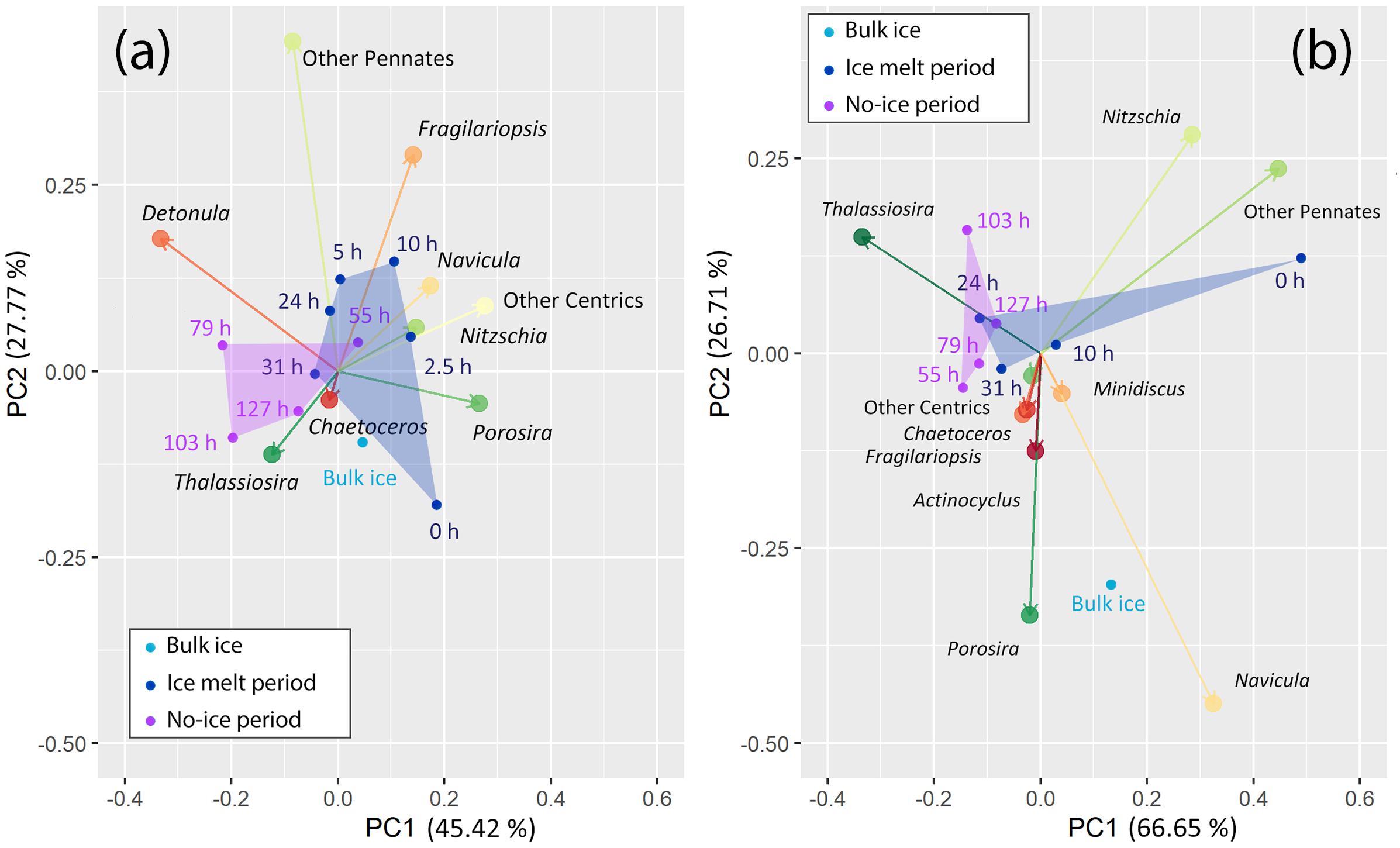 Frontiers Response To Sea Ice Melt Indicates High Seeding Potential Of The Ice Diatom Thalassiosira To Spring Phytoplankton Blooms A Laboratory Study On An Ice Algal Community From The Sea Of