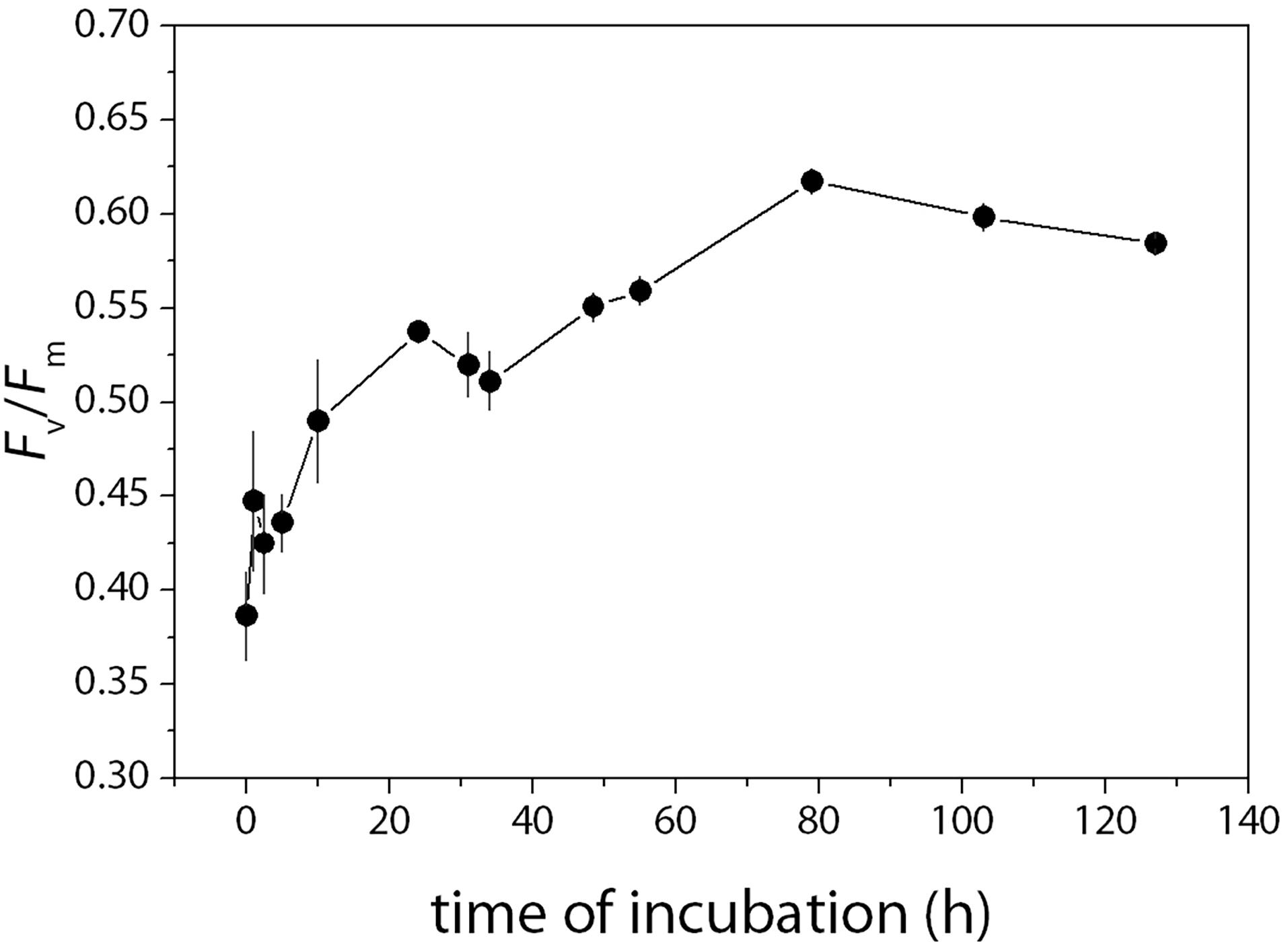 Frontiers Response To Sea Ice Melt Indicates High Seeding Potential Of The Ice Diatom Thalassiosira To Spring Phytoplankton Blooms A Laboratory Study On An Ice Algal Community From The Sea Of