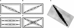www.frontiersin.org