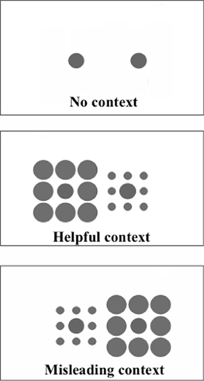 www.frontiersin.org