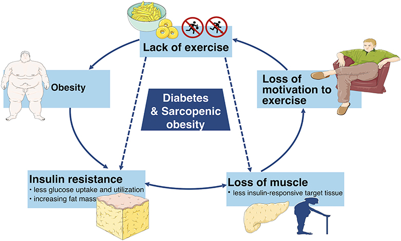 archives of diabetes & obesity impact factor