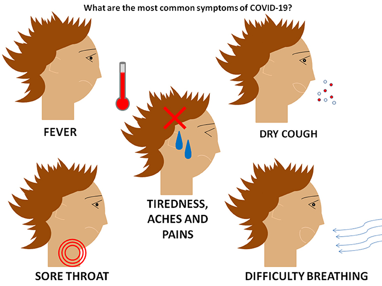 איור 1 - מהם התסמינים השכיחים ביותר של COVID-19? התסמינים השכיחים ביותר הם חום, שיעול יבש, כאב גרון, עייפות, כאבים ומיחושים וקשיי נשימה.