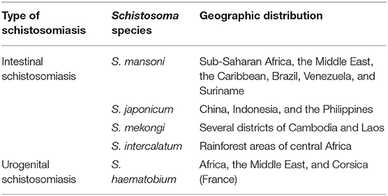 Types of schistosomiasis, Schistosomiasis types Papilloma of whartons duct