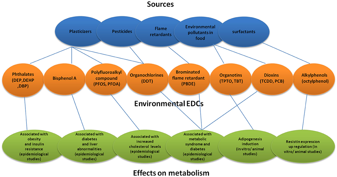 Frontiers  Environmental Endocrine-Disrupting Chemical Exposure: Role in  Non-Communicable Diseases
