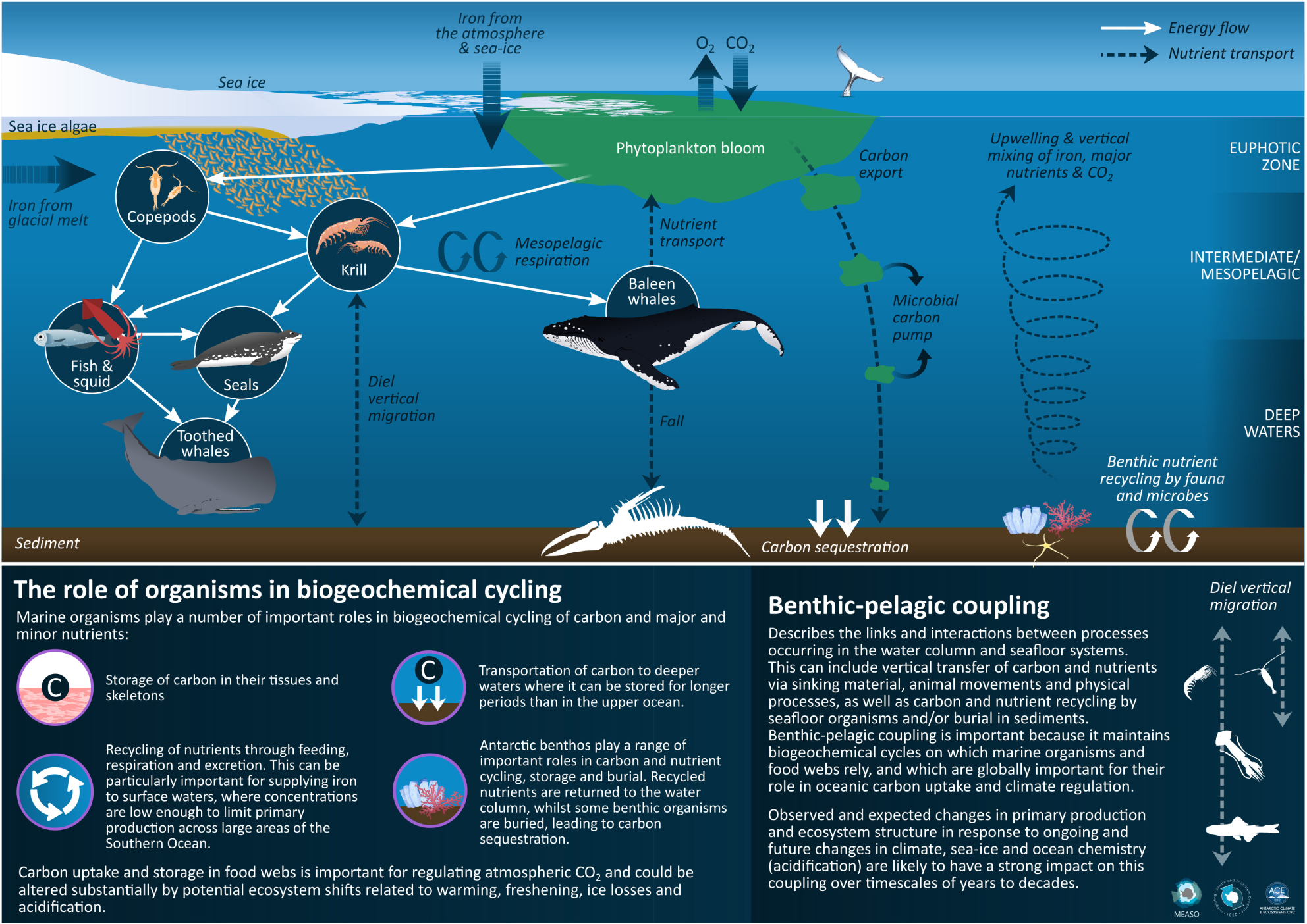 The atmospheric input of trace species to the world ocean - Duce - 1991 -  Global Biogeochemical Cycles - Wiley Online Library